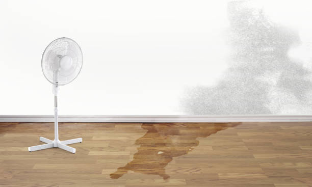 Best Water damage restoration cost  in Mulgee, OK